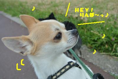 20130527+014_convert_20130527105637.jpg