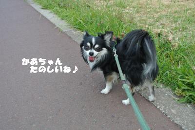 20130527+016_convert_20130527105716.jpg