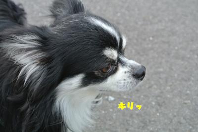 20130527+020_convert_20130527105845.jpg