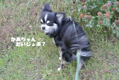 20130527+022_convert_20130527110143.jpg