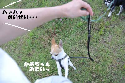20130527+023_convert_20130527110216.jpg