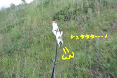 20130527+025_convert_20130527110002.jpg