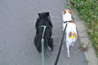 20130527+030_convert_20130527110030.jpg