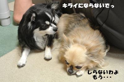 20130528+003_convert_20130528113300.jpg