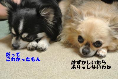 20130528+004_convert_20130528113328.jpg