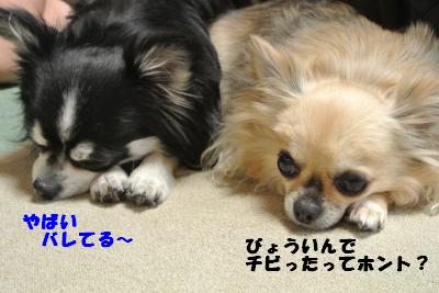 20130528+005_convert_20130528113353.jpg