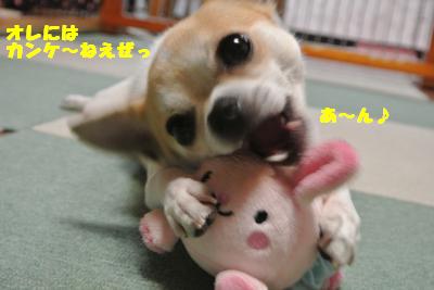 20130528+008_convert_20130528113605.jpg