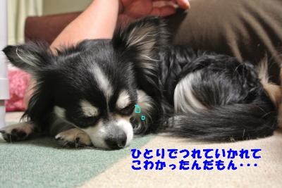20130528+012_convert_20130528113503.jpg