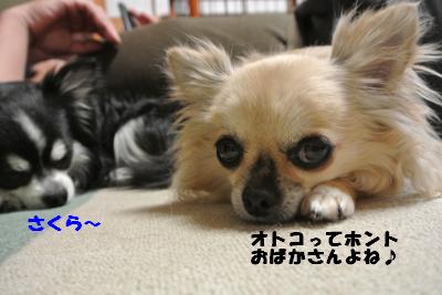 20130528+014_convert_20130528113529.jpg