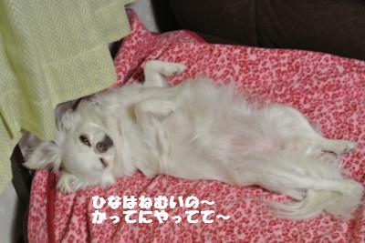 20130528+017_convert_20130528113641.jpg