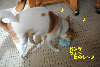 20130528+018_convert_20130528113906.jpg