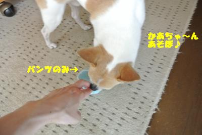 20130528+020_convert_20130528113820.jpg