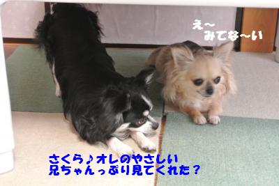 20130529+005_convert_20130529103920.jpg