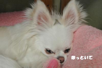 20130529+007_convert_20130529104001.jpg