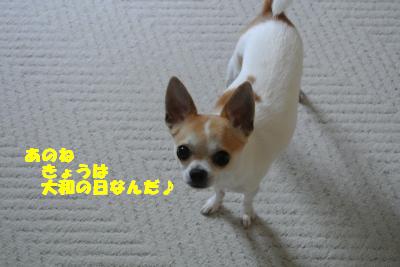 20130529+014_convert_20130529104108.jpg