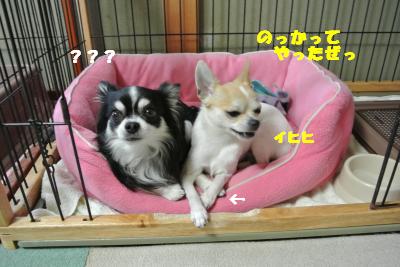 20130529+042_convert_20130529103636.jpg