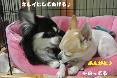 20130529+046_convert_20130529103746.jpg