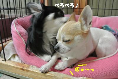 20130529+049_convert_20130529103824.jpg