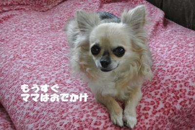 20130530+001_convert_20130530104826.jpg