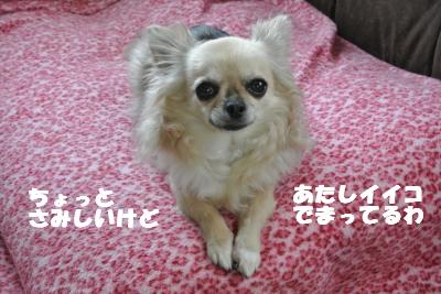 20130530+003_convert_20130530104930.jpg