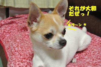 20130531+002_convert_20130531114118.jpg