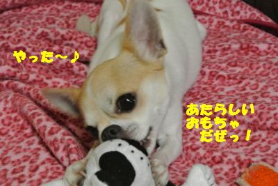 20130531+005_convert_20130531113959.jpg