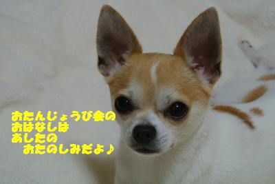 20130531+012_convert_20130603131058.jpg
