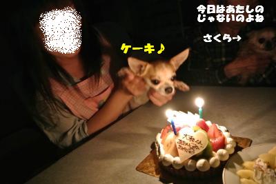 20130603+002_convert_20130604095207.jpg