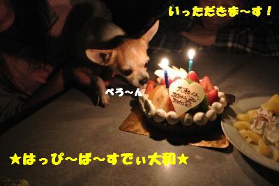 20130603+006_convert_20130604095244.jpg