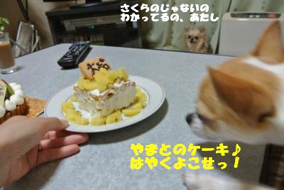 20130603+009_convert_20130604095333.jpg