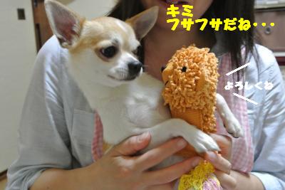 20130603+011_convert_20130604095435.jpg
