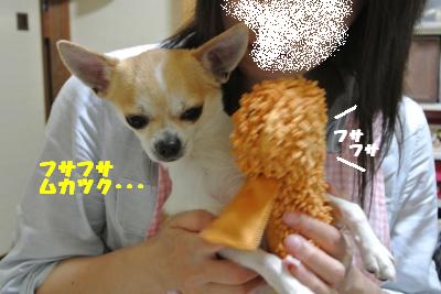 20130603+012_convert_20130604095548.jpg