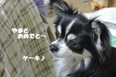 20130603+015_convert_20130604095657.jpg