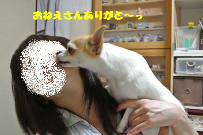 20130603+016_convert_20130604095622.jpg
