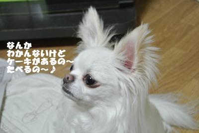 20130603+017_convert_20130604095734.jpg