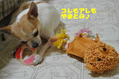 20130603+020_convert_20130604095846.jpg