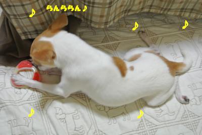 20130603+022_convert_20130604095922.jpg