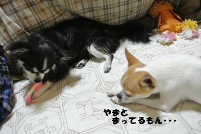 20130603+025_convert_20130604100314.jpg