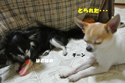 20130603+030_convert_20130604100102.jpg
