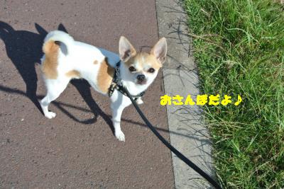 20130603+035_convert_20130603131322.jpg
