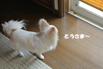 20130605+001_convert_20130605113039.jpg