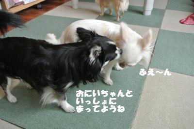 20130605+007_convert_20130605113324.jpg