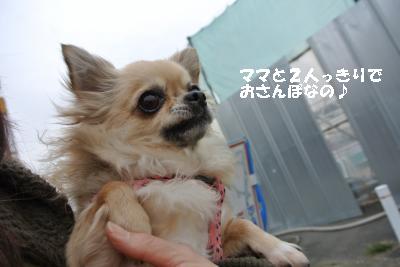 20140125+001_convert_20140125161959.jpg