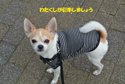 20140125+004_convert_20140127112724.jpg