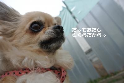 20140125+008_convert_20140125162433.jpg