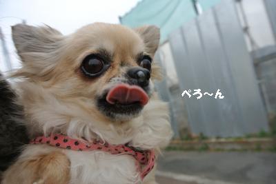 20140125+009_convert_20140125162040.jpg