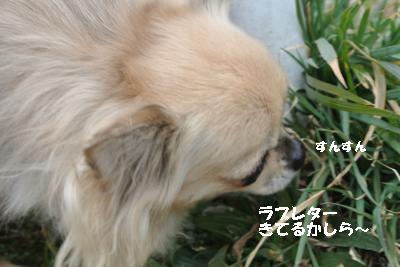 20140125+011_convert_20140125162154.jpg