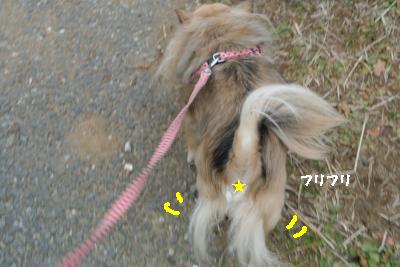 20140125+012_convert_20140125162227.jpg