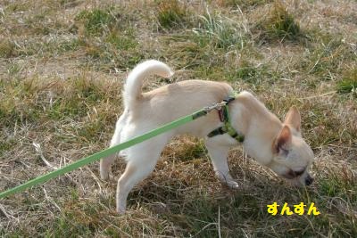 DSC_2598_convert_20140127112945.jpg