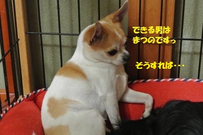 DSC_2675_convert_20140129110359.jpg